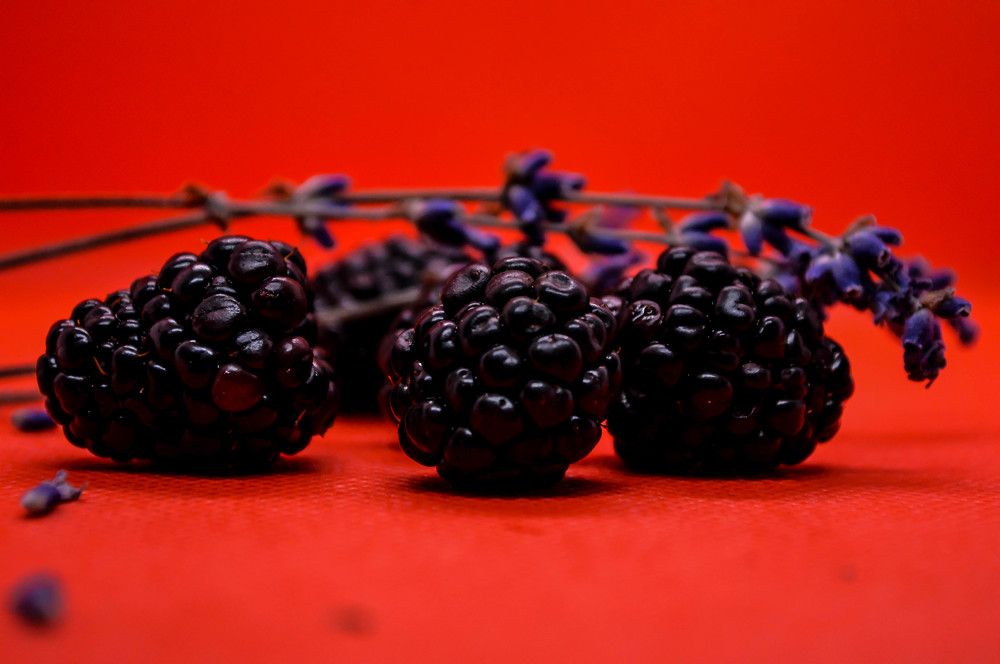 Photograph by Елена