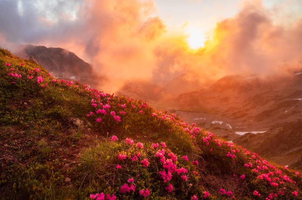 Photograph by Alexandru Pavel