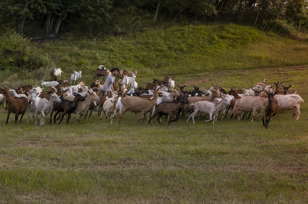 Photograph by Fabrizio Troccoli