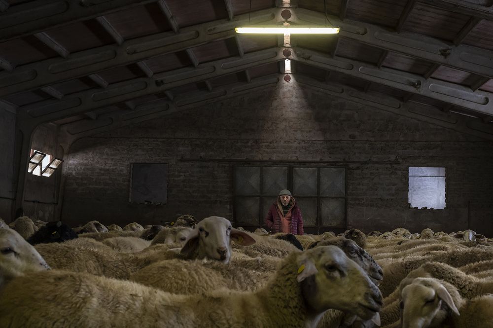 Photograph by Fabrizio Troccoli