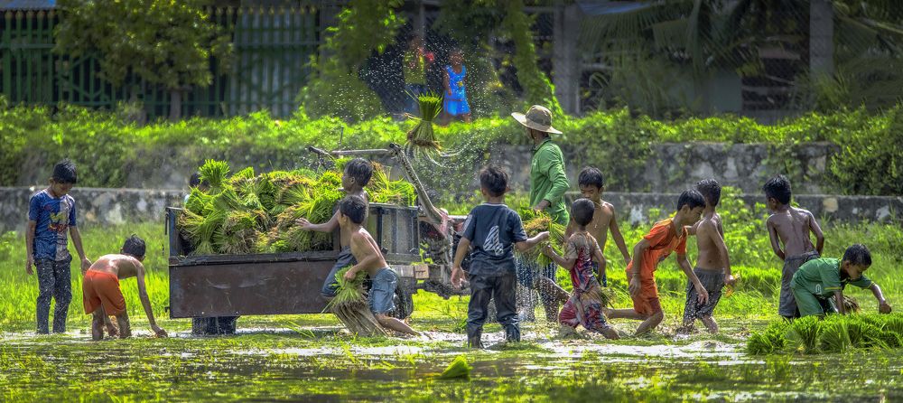 Photograph by TRAN HAI DUONG
