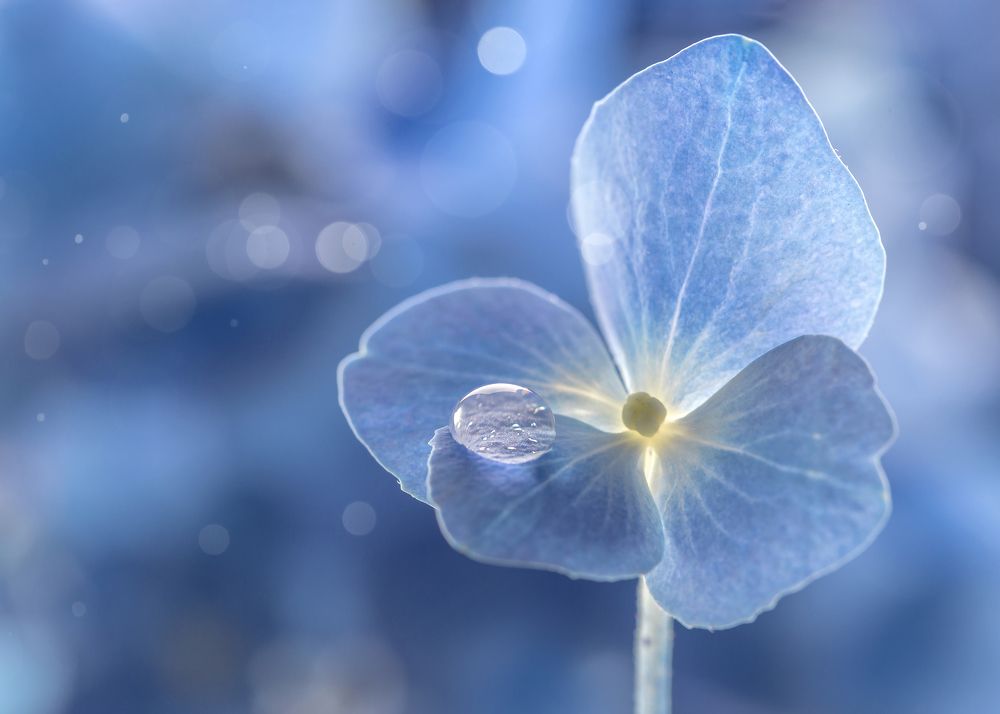 Photograph by Ирина Толокновская