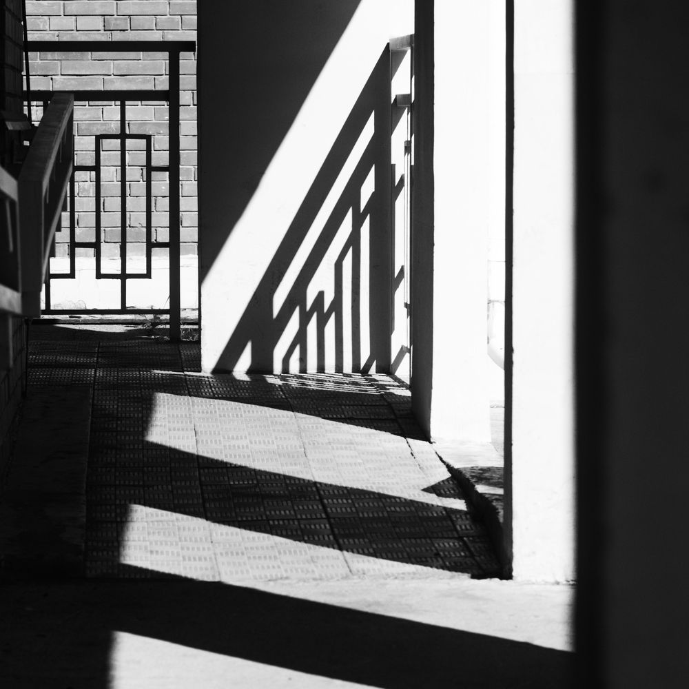 Photograph by Сафронова Любовь