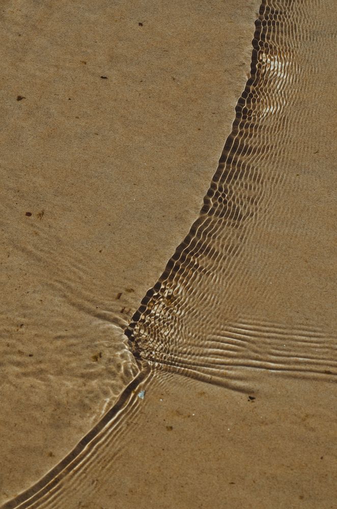 Photograph by Сафронова Любовь