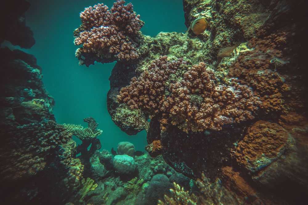 Photograph by Владимир Михайлов