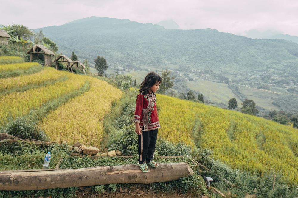 Photograph by Tran Khoa