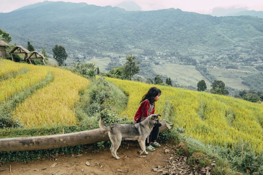 Photograph by Tran Khoa