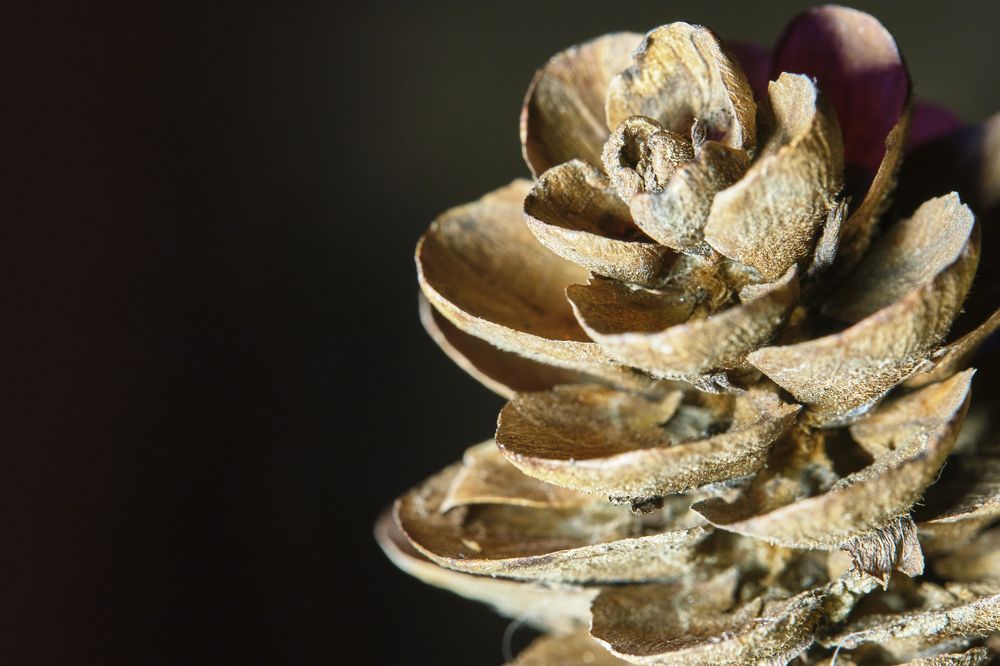 Photograph by Руслан Ибрагимов