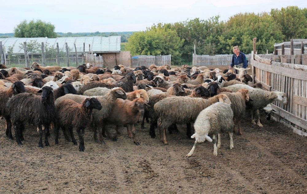 Photograph by Марина Юрченко