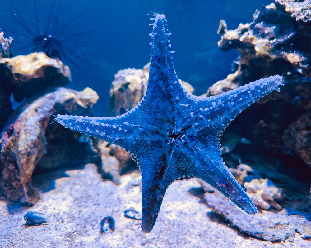 Photograph by Никита Петров