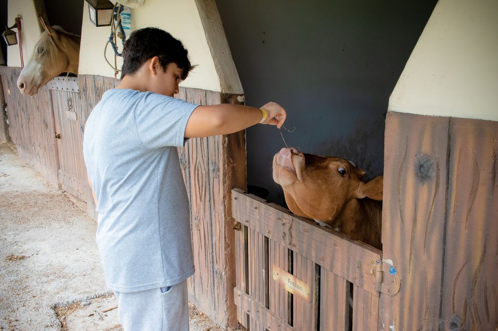 Photograph by Cristiane Terrazzan