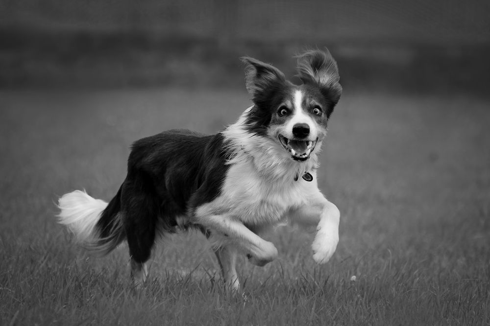 Photograph by Юлия Зубкова