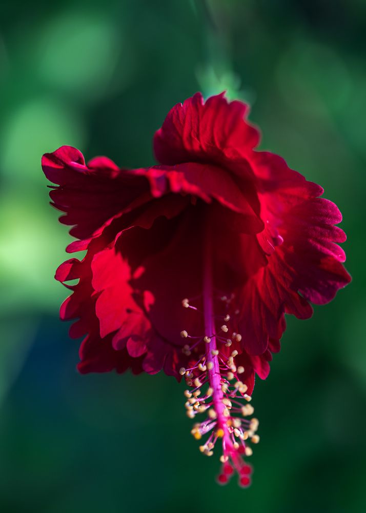 Photograph by Ирина Остапенко