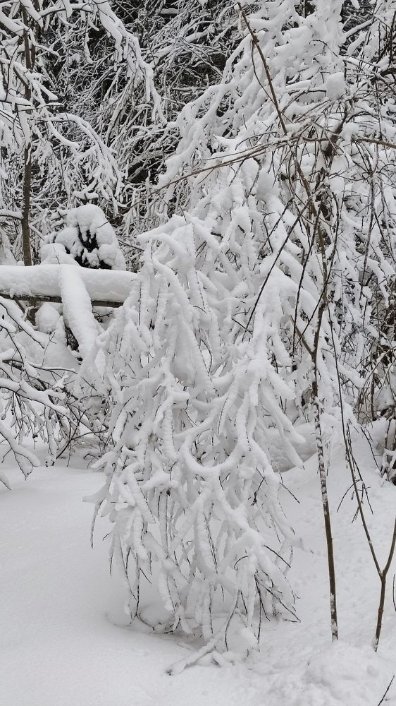 Photograph by Марина