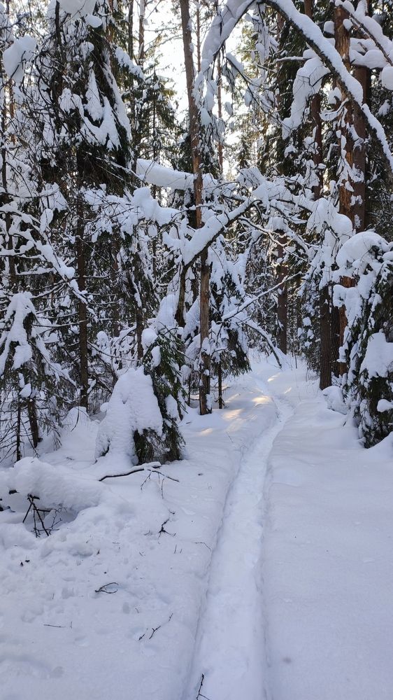 Photograph by Марина