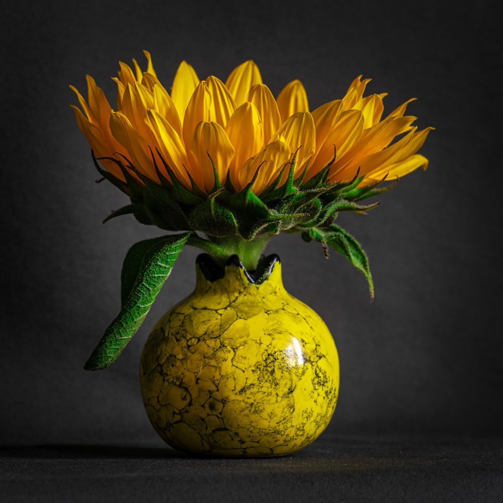 Счастливое настроение