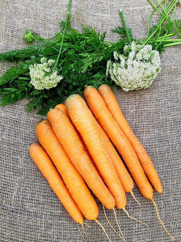 Фотография автора Ирина Лукьянчик