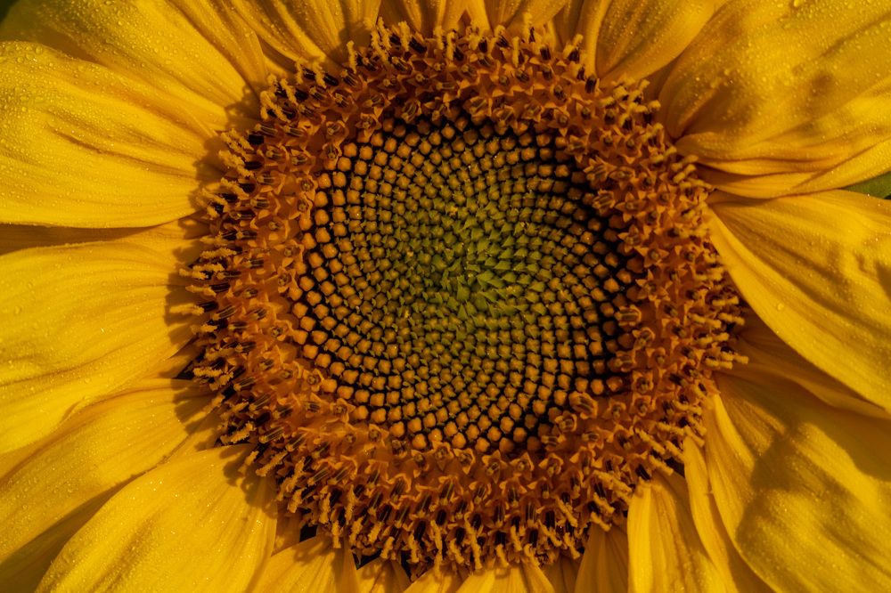 Photograph by Павел Краснослободцев