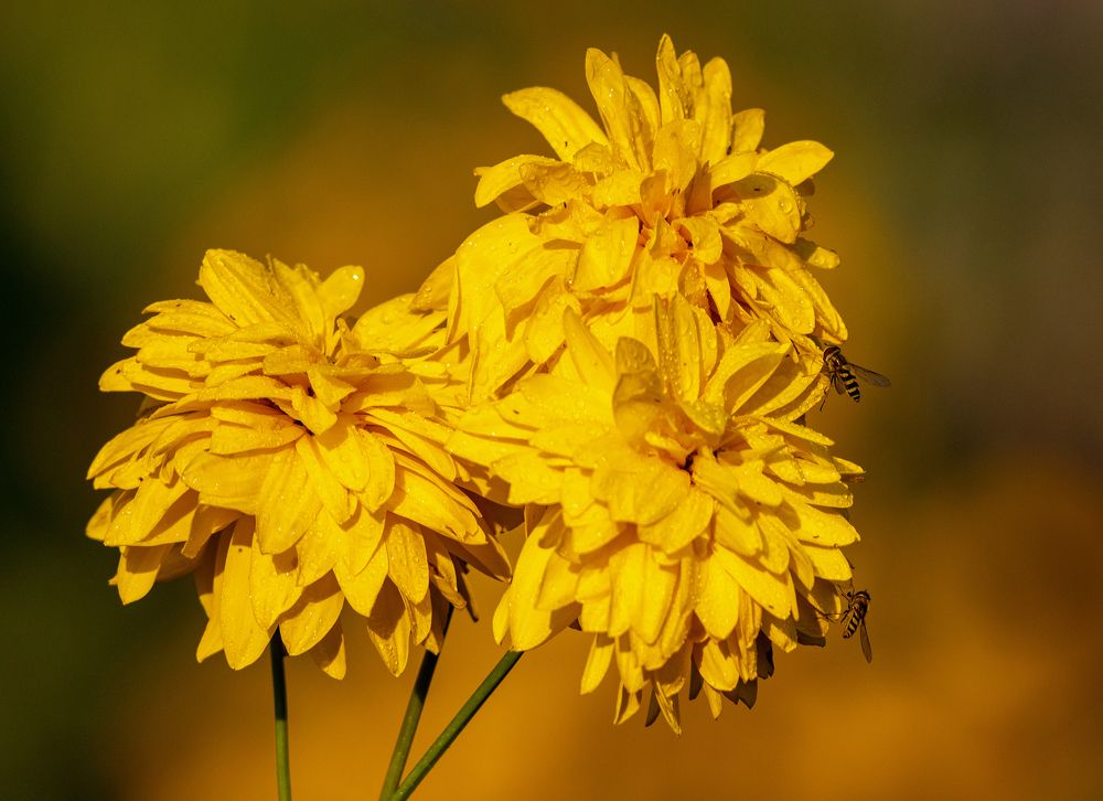 Photograph by Павел Краснослободцев