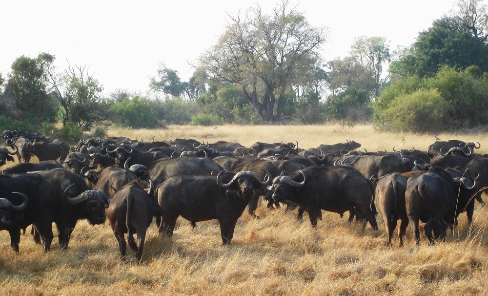 Photograph by Ирина Орлова