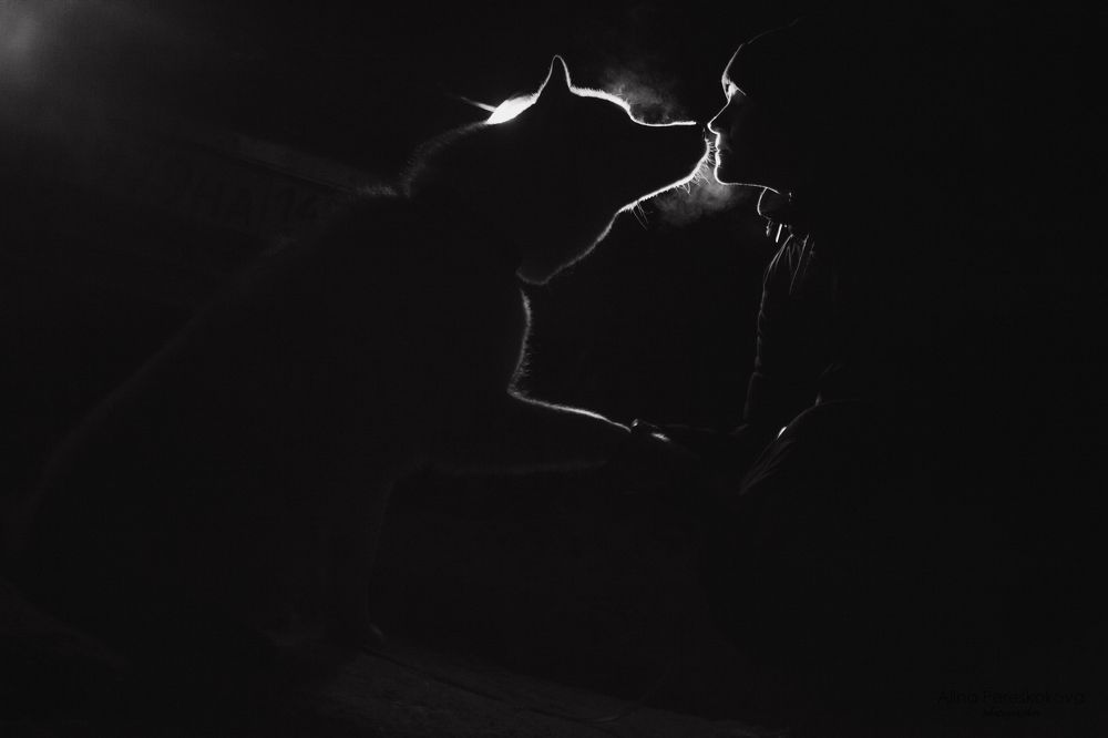 Photograph by Алина Перескокова