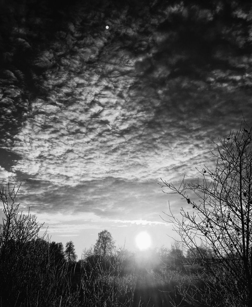 Photograph by Ольга Галкина