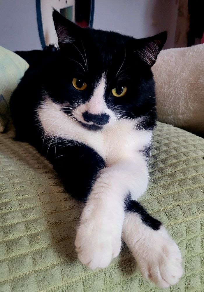 Photograph by Лариса Аркадиевна