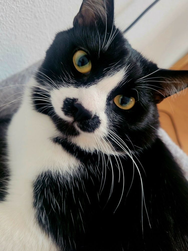 Photograph by Лариса Аркадиевна