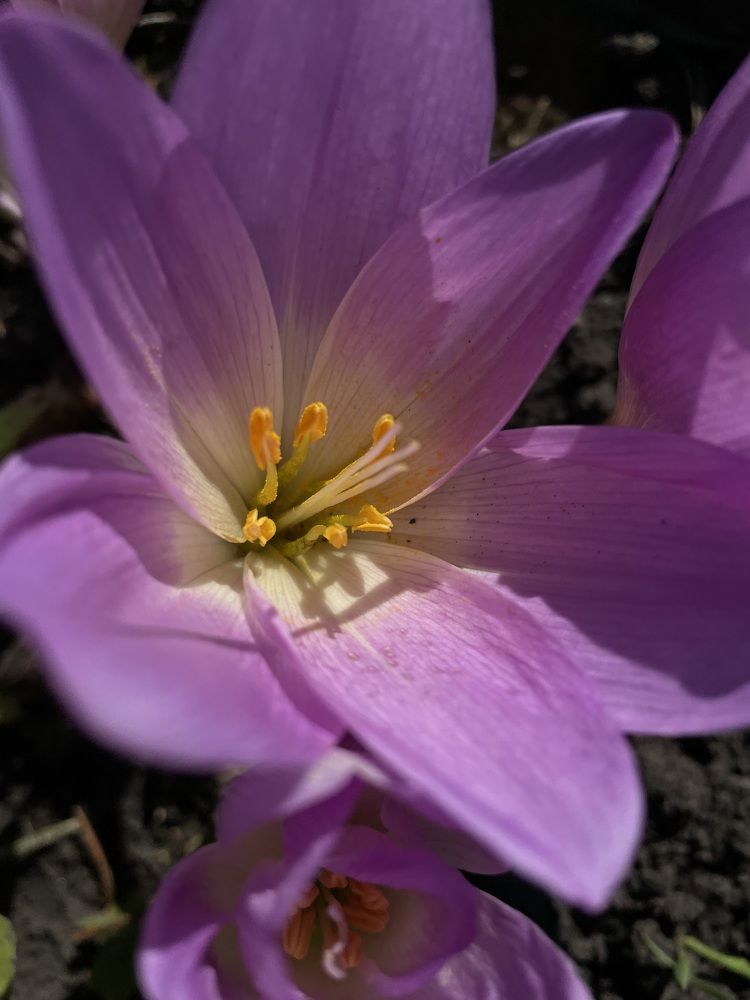 Photograph by Екатерина Максимова