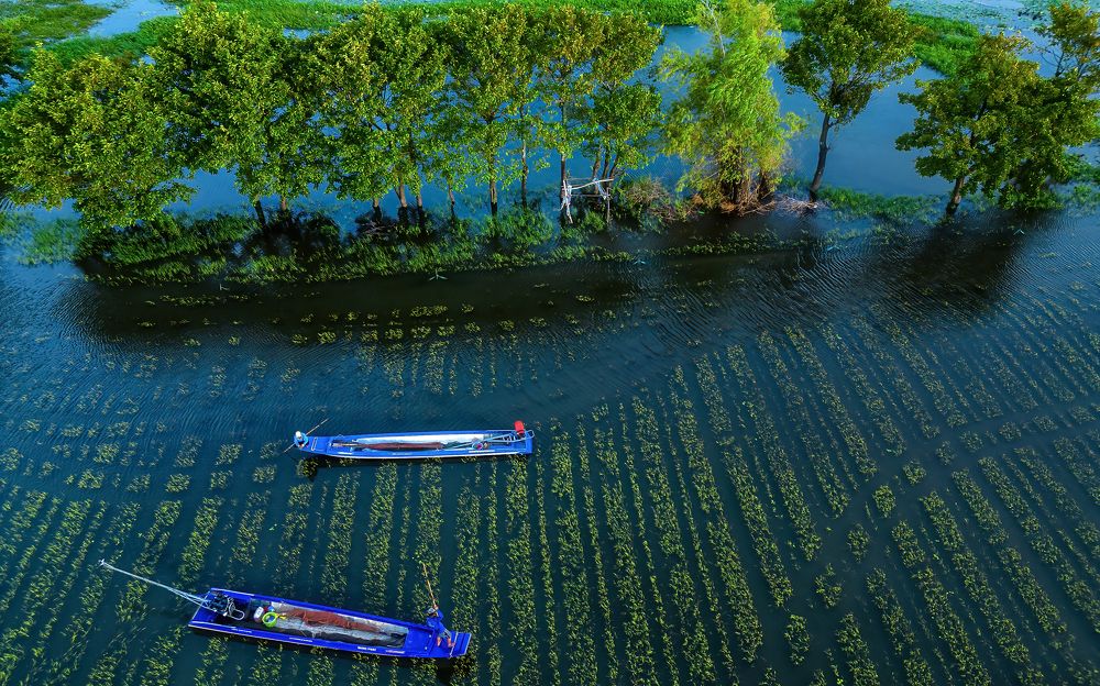 Photograph by Nguyễn Sơn