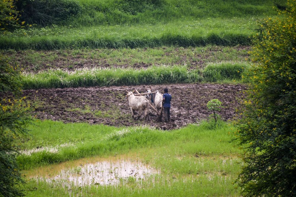 Фотография автора ABHISHEK SHAH