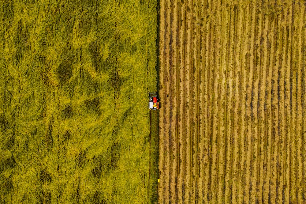 Photograph by Nguyễn Sơn