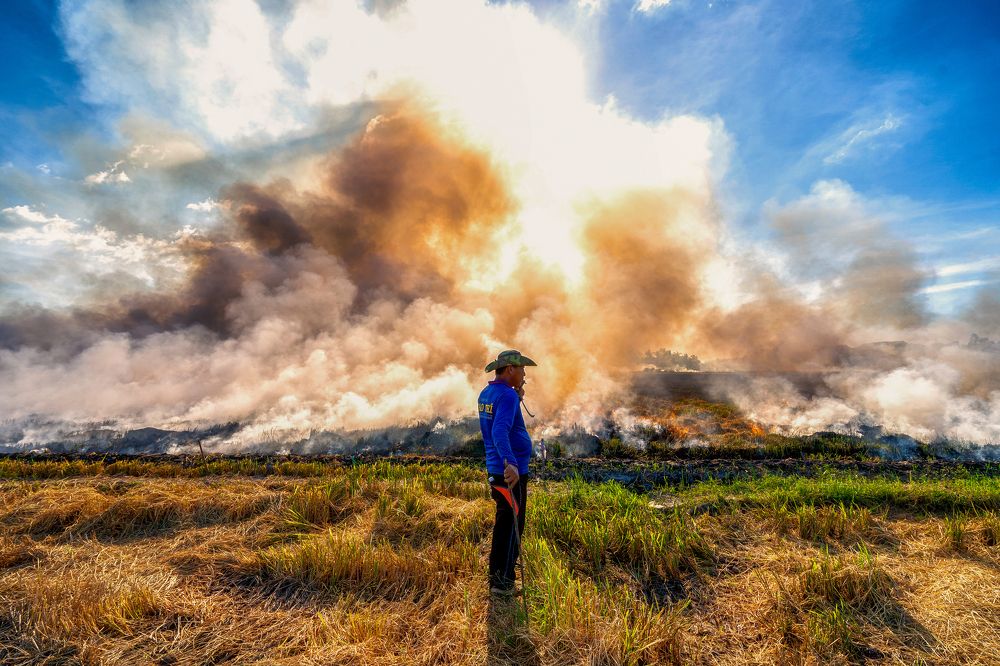 Photograph by Nguyễn Sơn