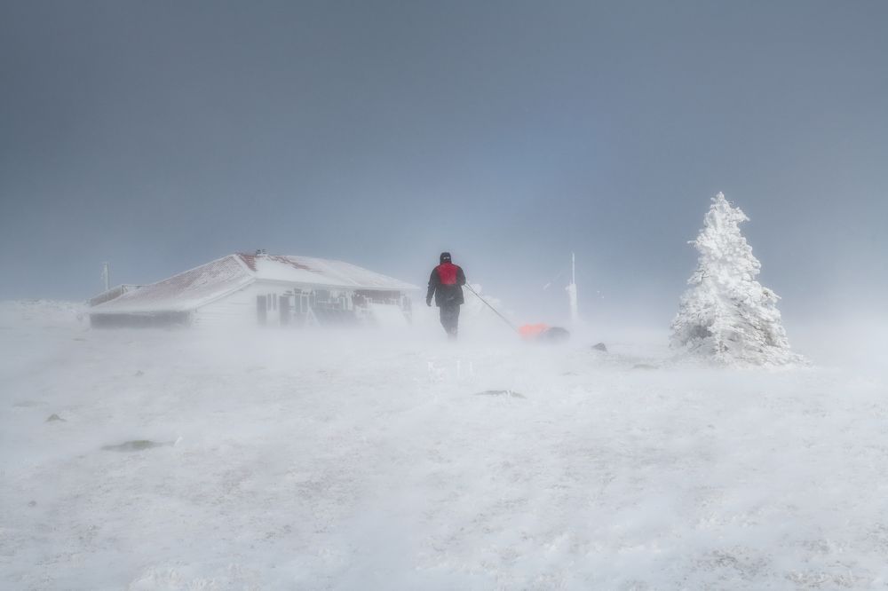 Photograph by Михаил Карпов