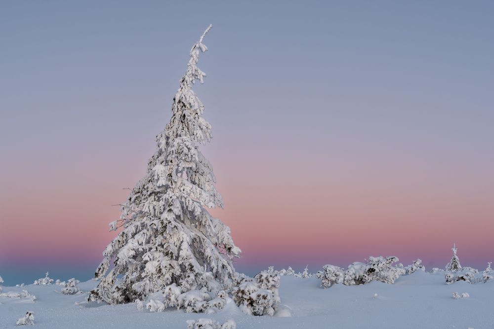 Photograph by Alin Bicas