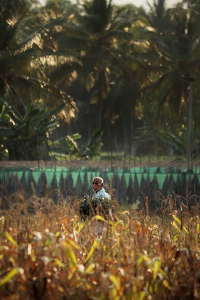 Photograph by Hari Raghavan