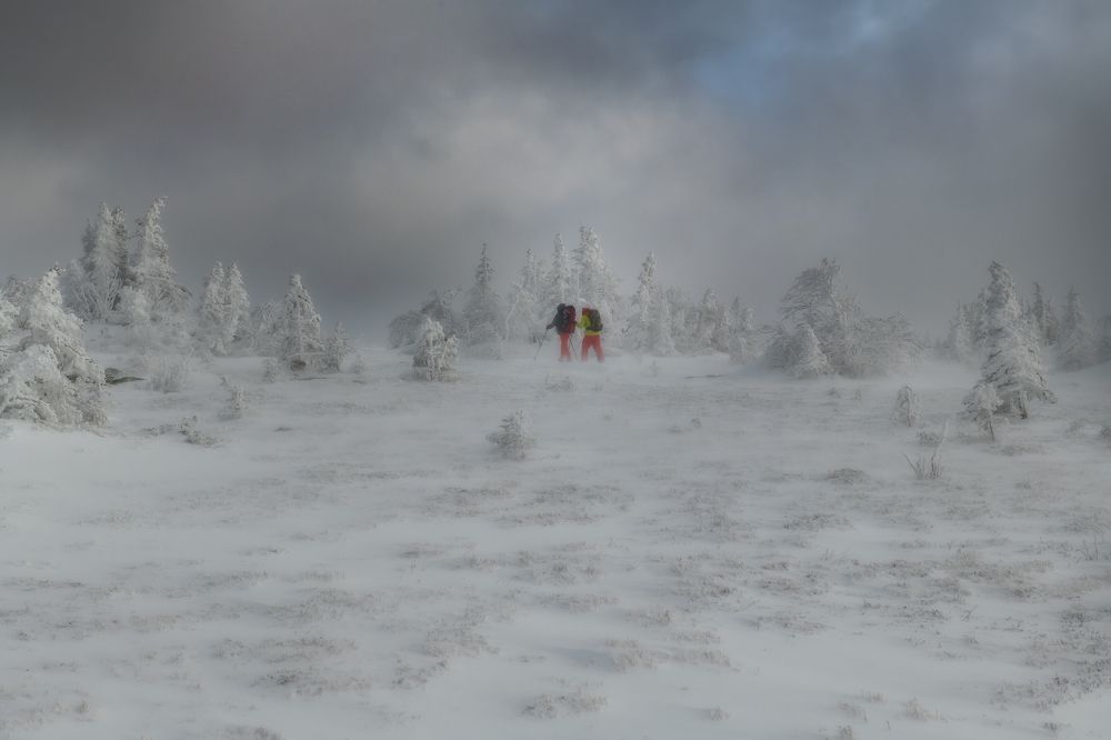 Photograph by Михаил Карпов