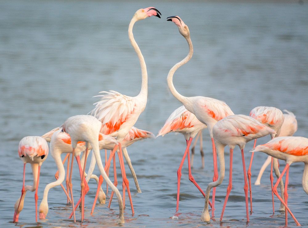 Photograph by Pakalon Janakan