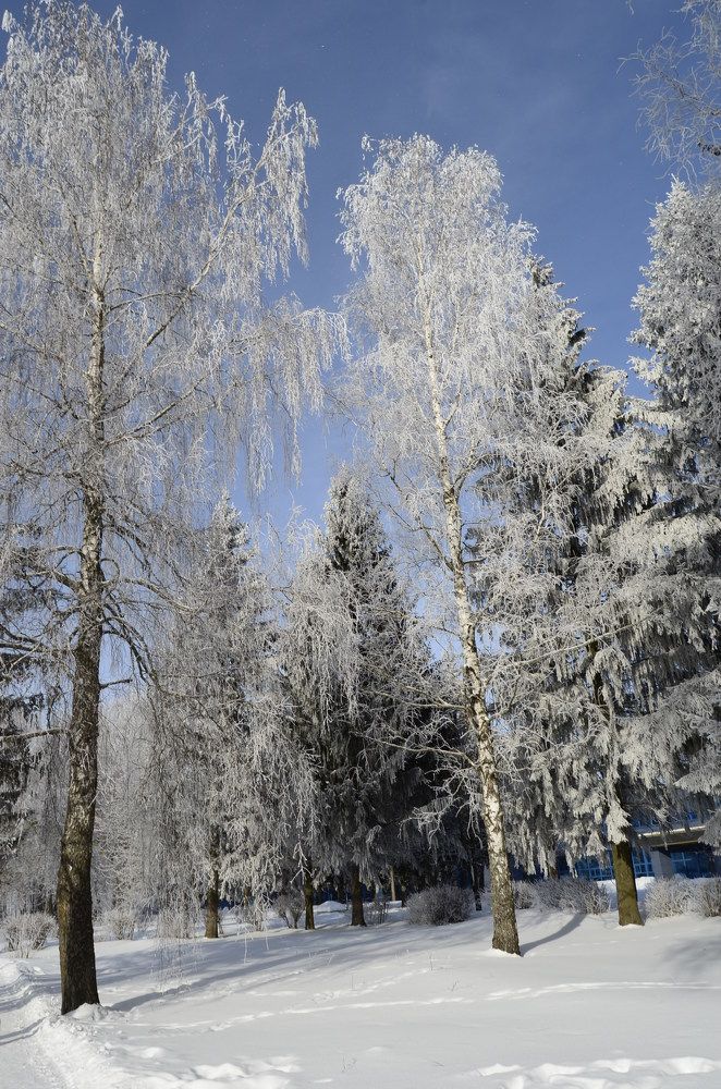 Photograph by Анастасия Кудина