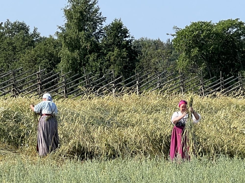 Photograph by Наталья Дмитриева