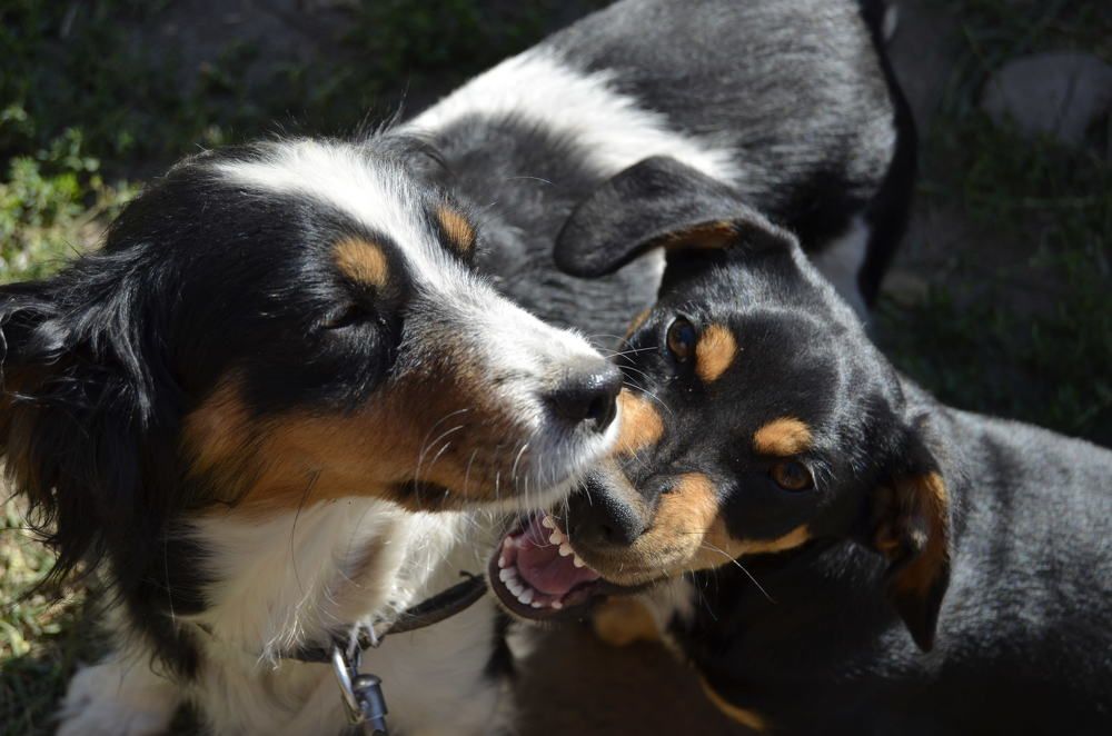 Photograph by Анастасия Кудина