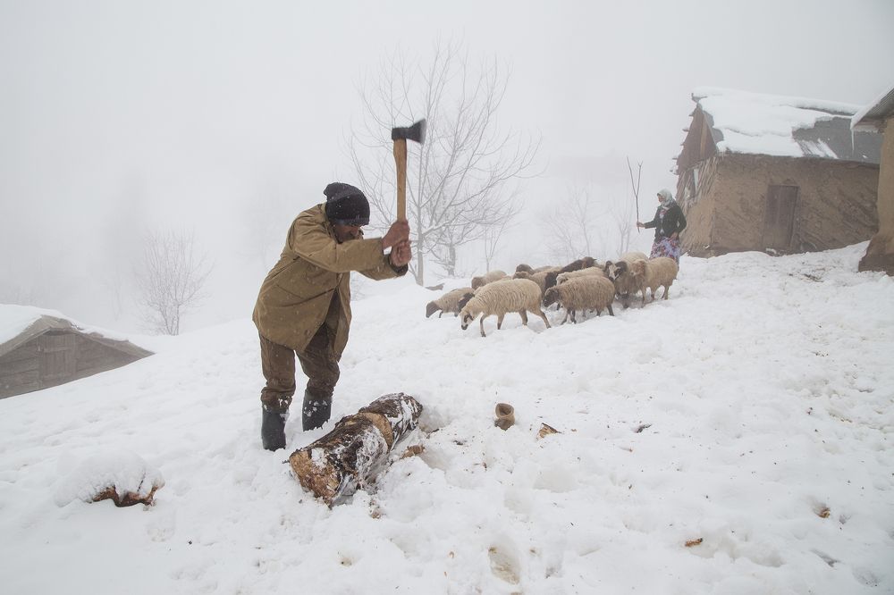 Photograph by homayon kshvarprst navi