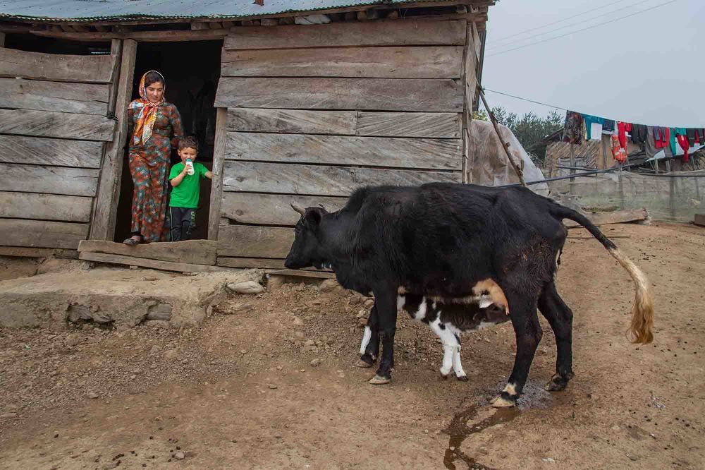 Photograph by homayon kshvarprst navi