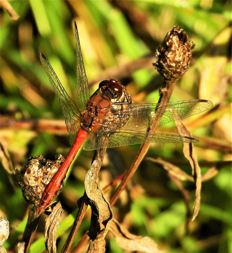 Photograph by Владимир Джерихов