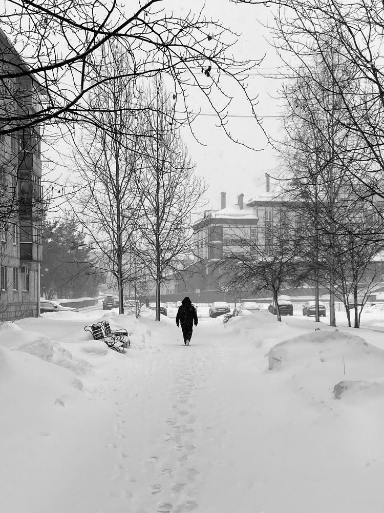 Фотография автора Алёна