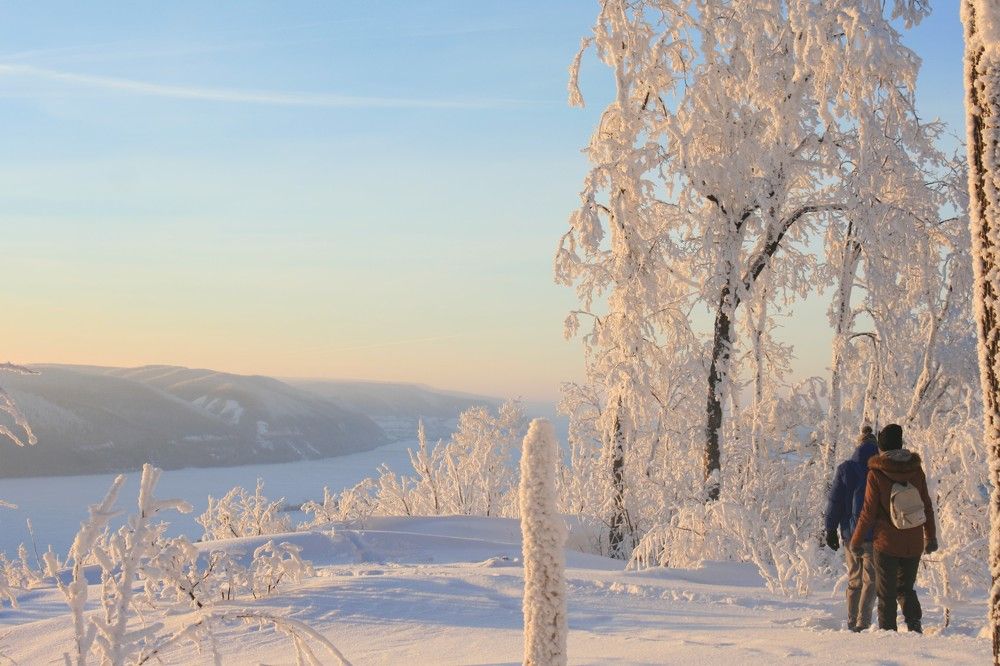 Фотография автора Татьяна Шебаршенко