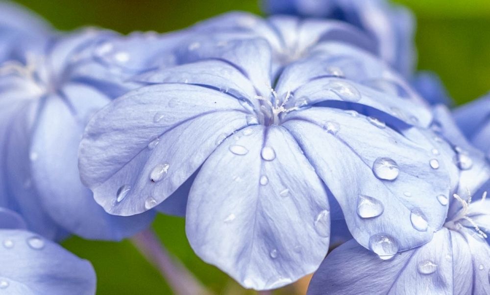 Фотография автора DIMITRIS MPAZIOTOPOULOS