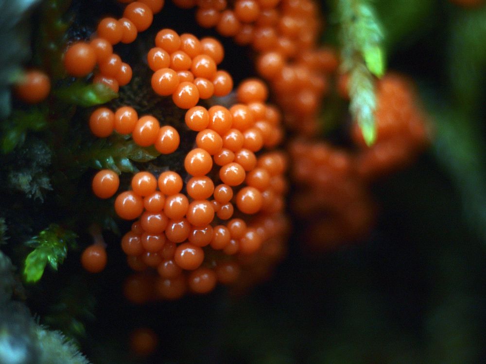 Photograph by Дмитрий Васючков