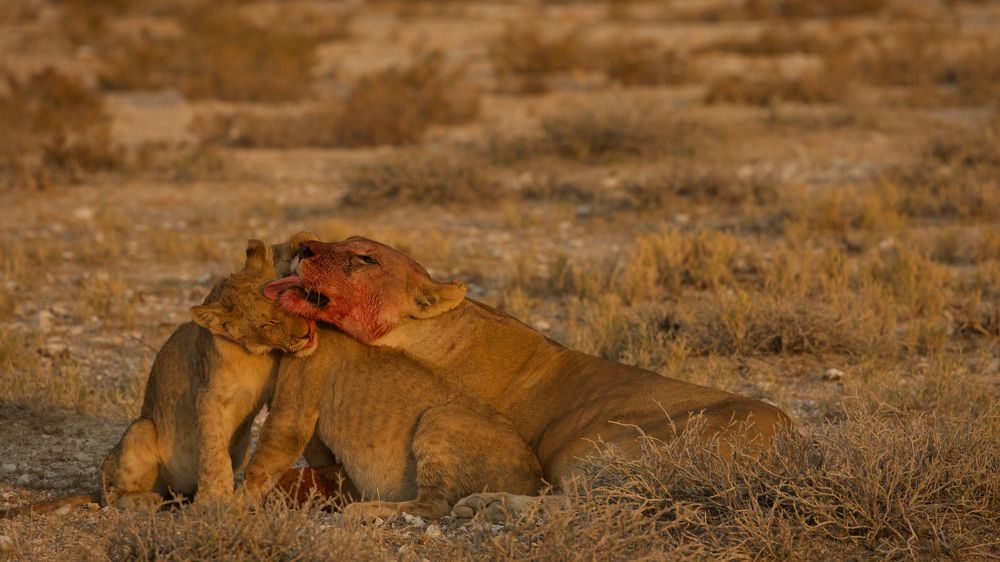 Фотография автора Boris Konovalov