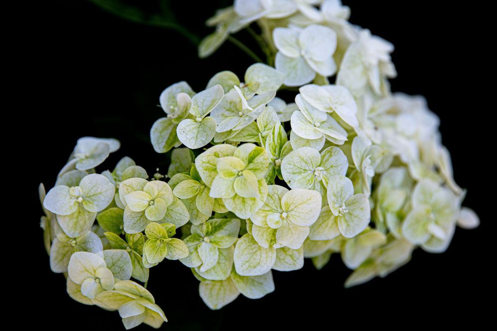 Photograph by Наталья